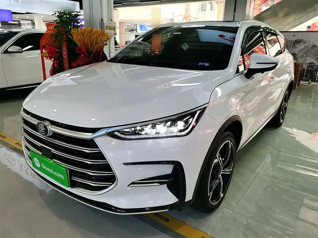 BYD Tang New Energy — фото 1