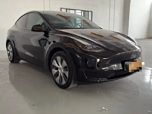 Tesla Model Y 2022 из CN, фото 4