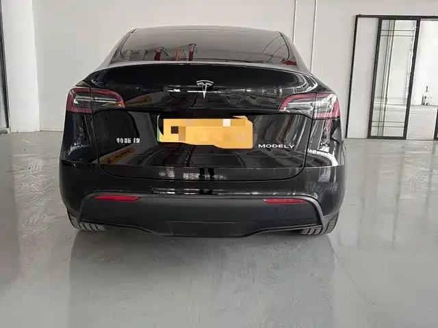 Tesla Model Y 2022 из CN, фото 6