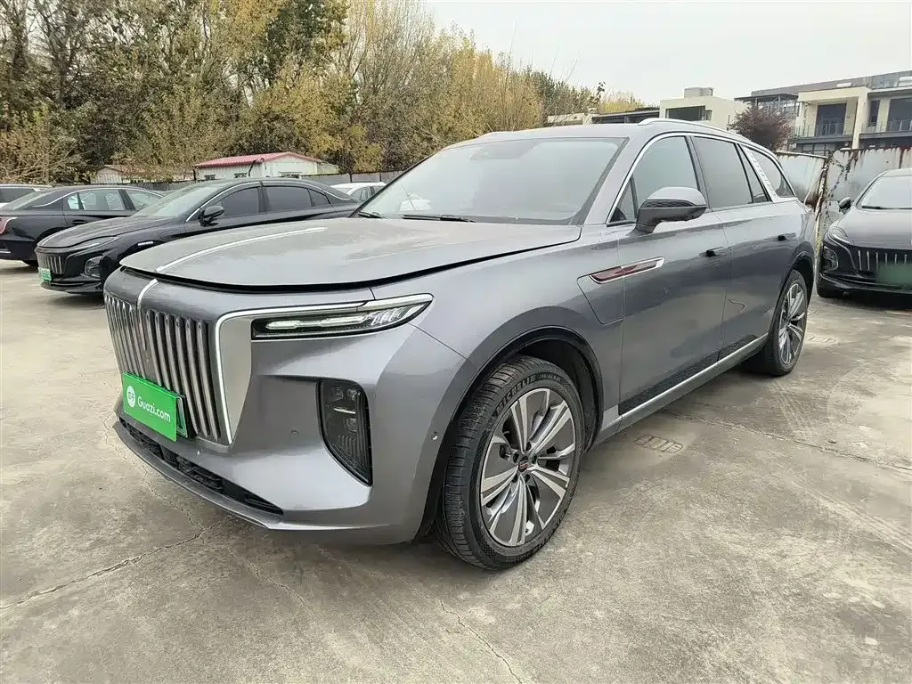 Hongqi E-HS9 — фото 6