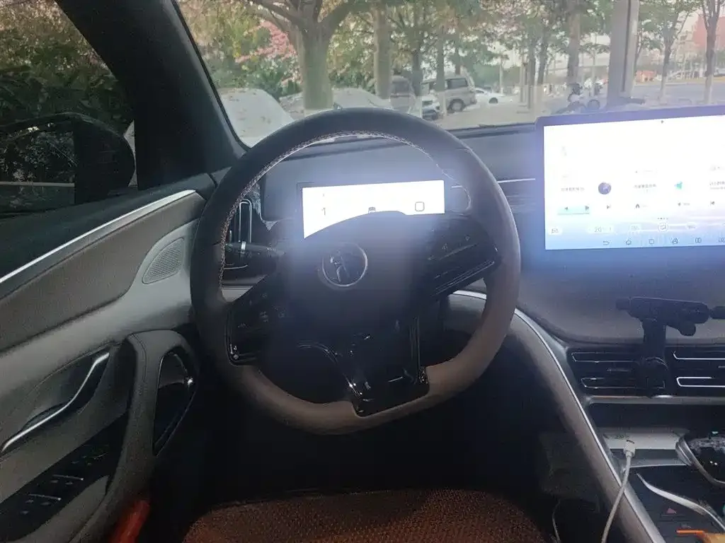 BYD Pro New Energy 2025 из CN, фото 3