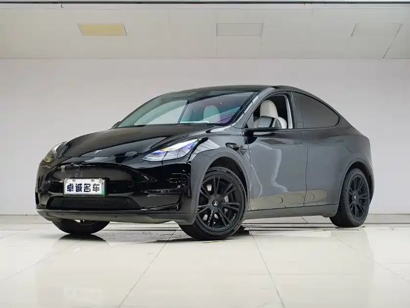 Tesla Model Y 2023 из CN, фото 1