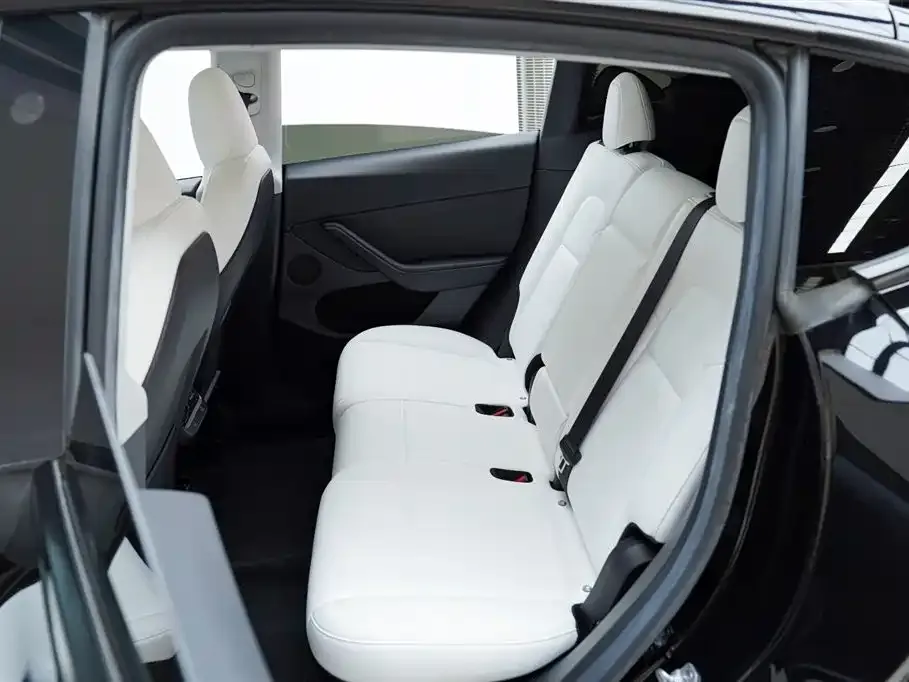 Tesla Model Y 2023 из CN, фото 4