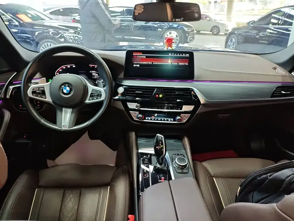 BMW 5 Series 2022 из CN, фото 5
