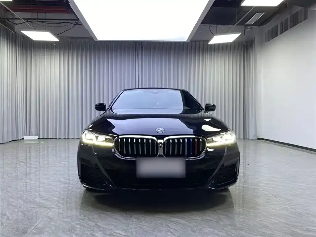 BMW 5 Series 2022 из CN, фото 2