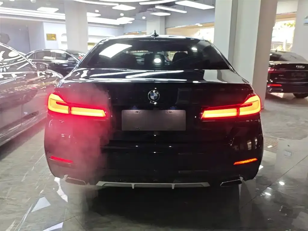 BMW 5 Series 2022 из CN, фото 7