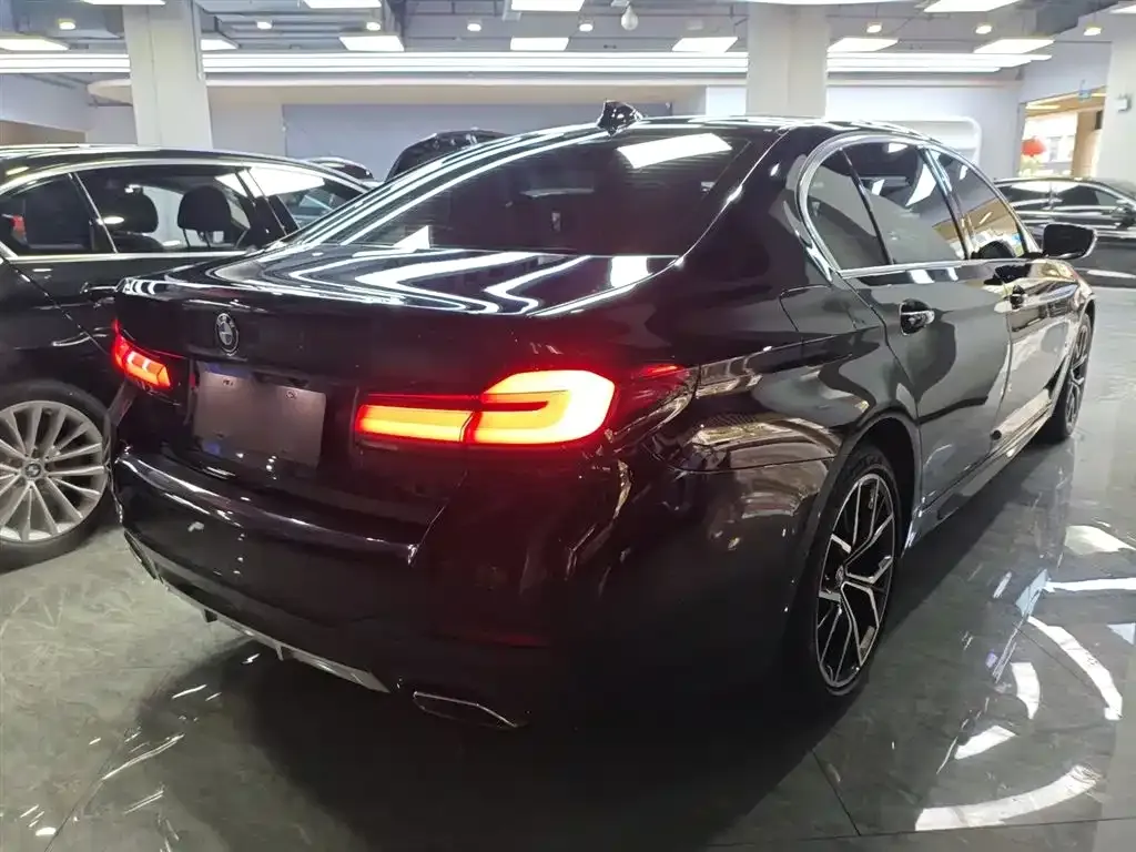 BMW 5 Series 2022 из CN, фото 9