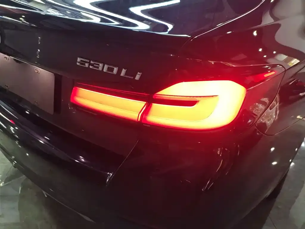 BMW 5 Series 2022 из CN, фото 3