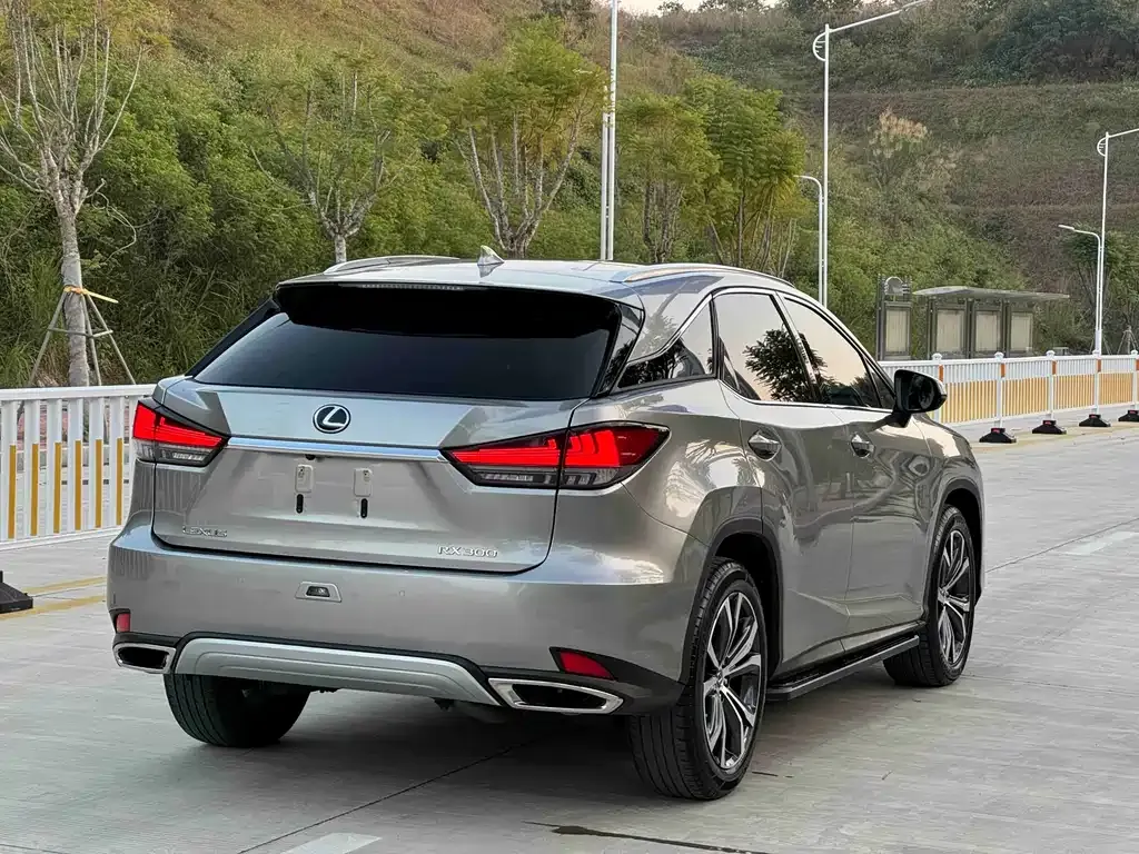 Lexus RX 2021 из CN, фото 8