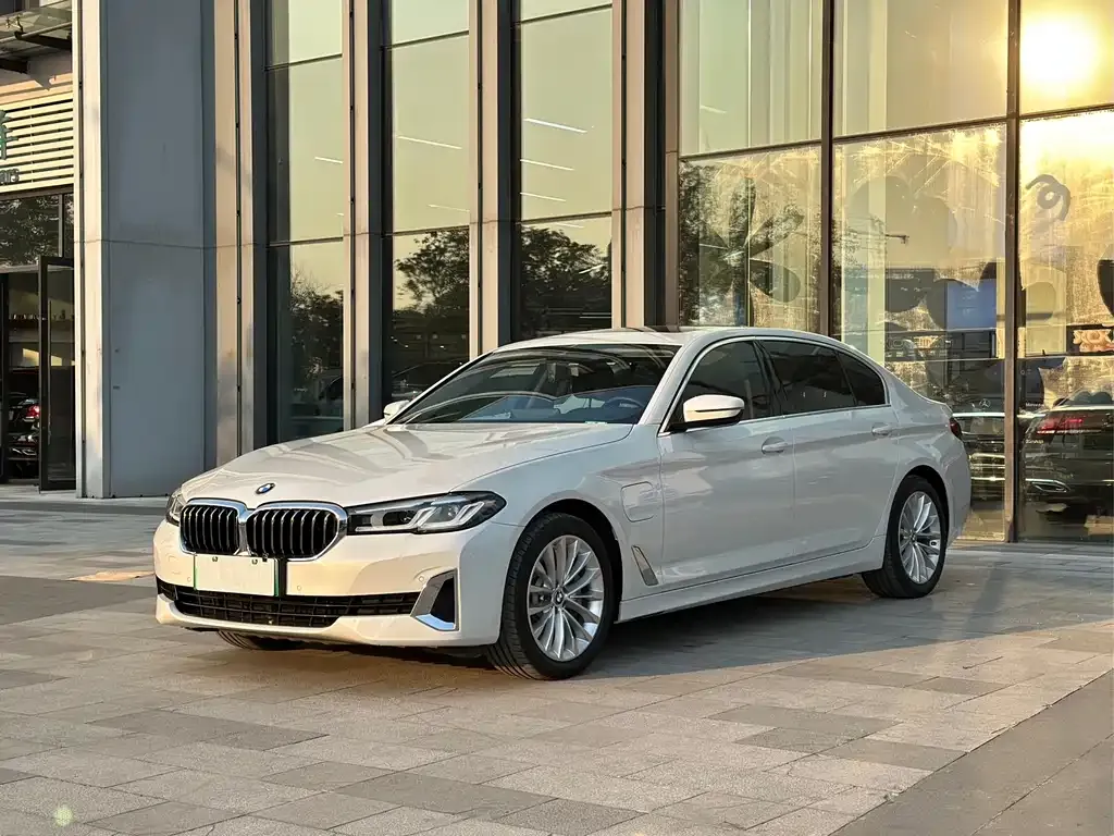 BMW 5 Series New Energy 2021 из CN, фото 1