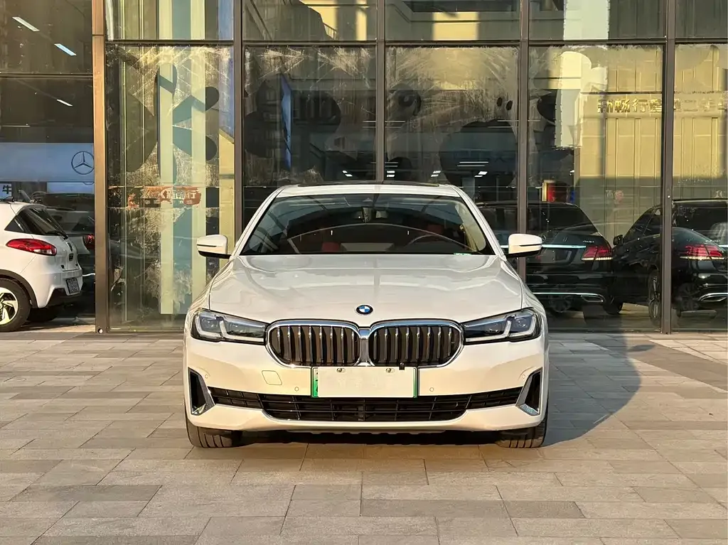 BMW 5 Series New Energy 2021 из CN, фото 5