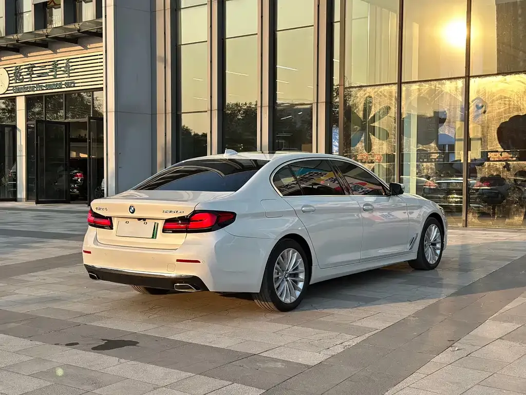 BMW 5 Series New Energy 2021 из CN, фото 8