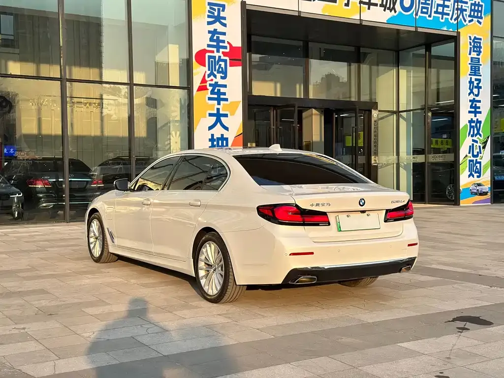 BMW 5 Series New Energy 2021 из CN, фото 6