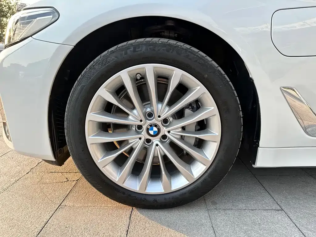 BMW 5 Series New Energy 2021 из CN, фото 9