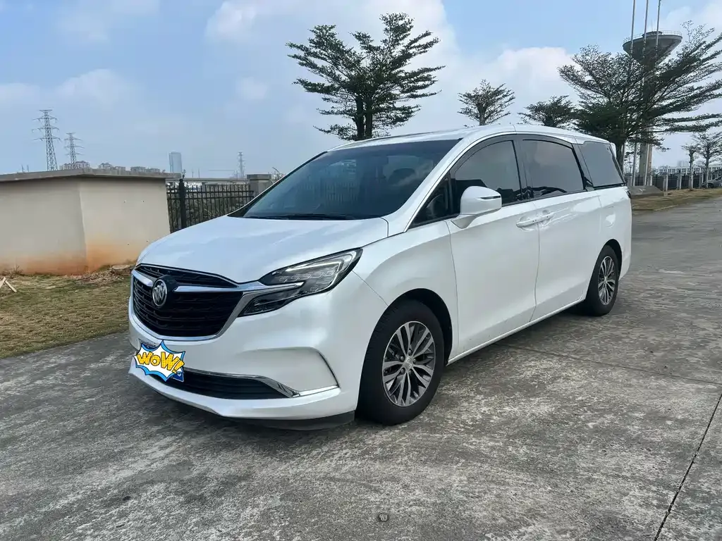 Buick GL8 2021 из CN, фото 1
