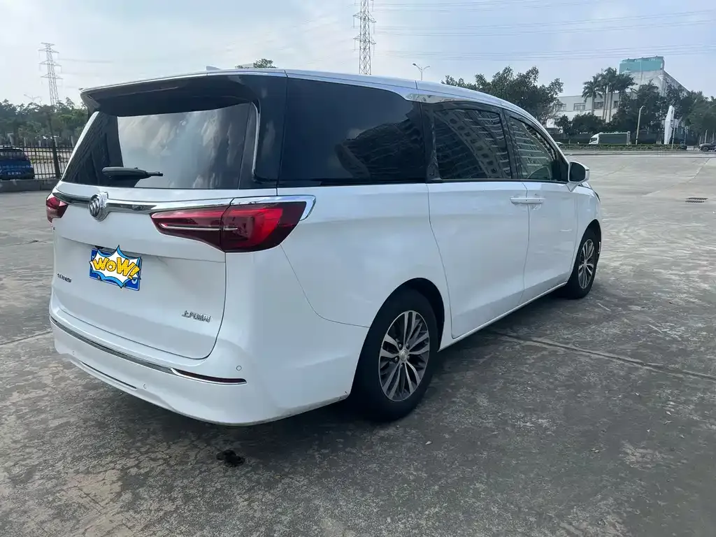 Buick GL8 2021 из CN, фото 3