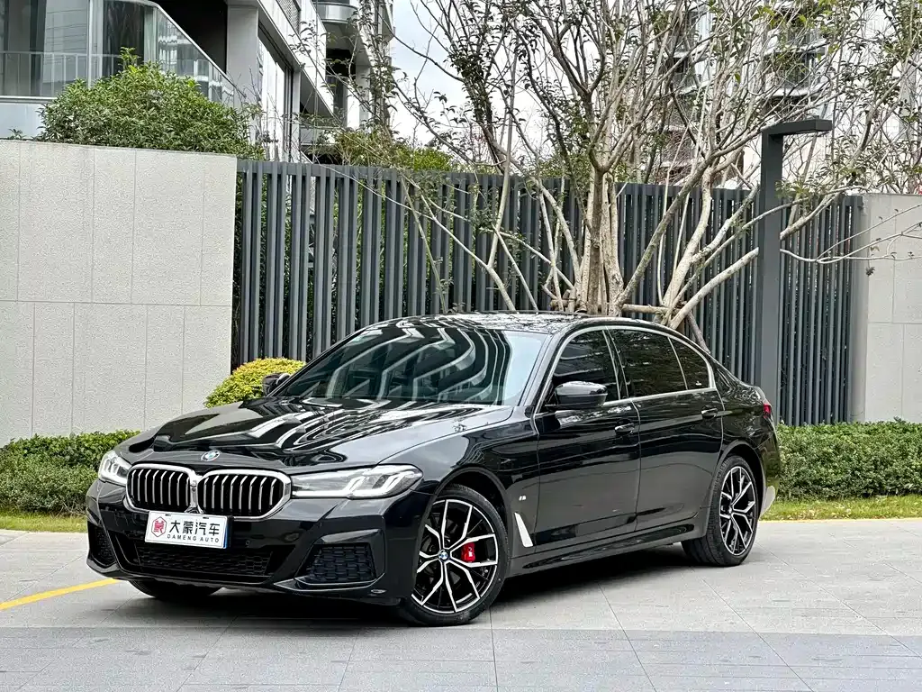BMW 5 Series 2021 из CN, фото 1