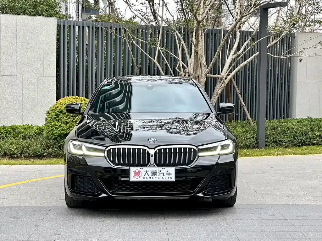 BMW 5 Series 2021 из CN, фото 10