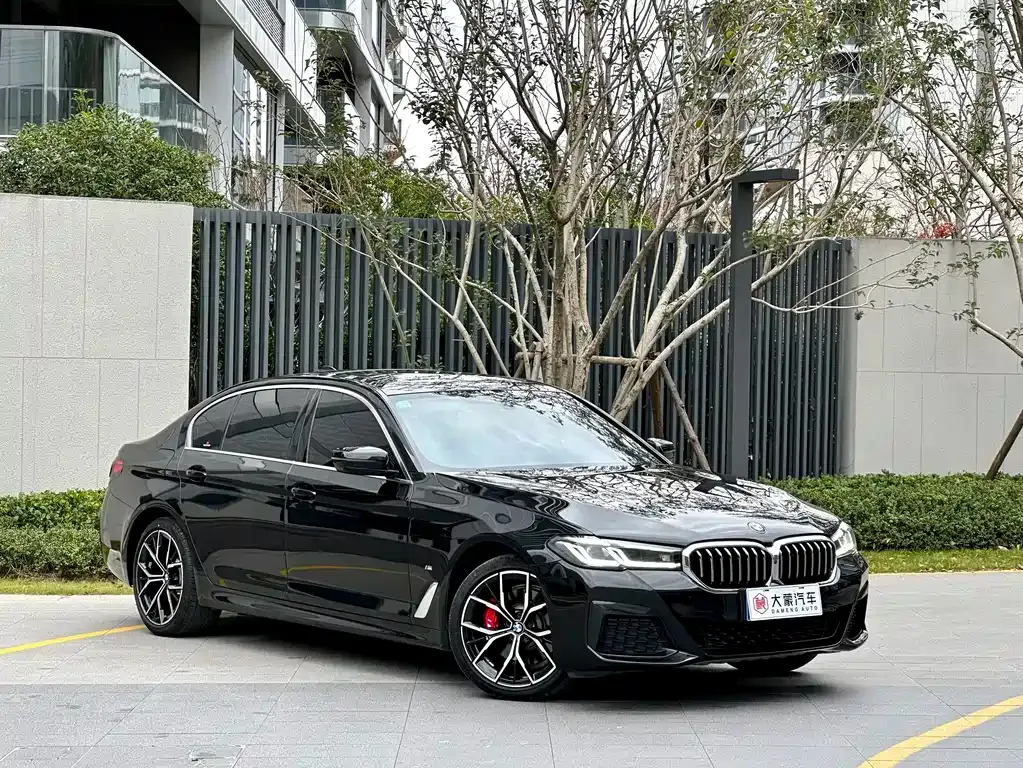 BMW 5 Series 2021 из CN, фото 9