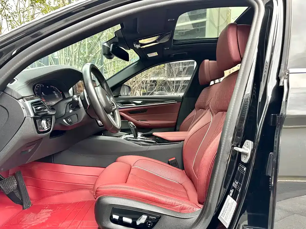 BMW 5 Series 2021 из CN, фото 5