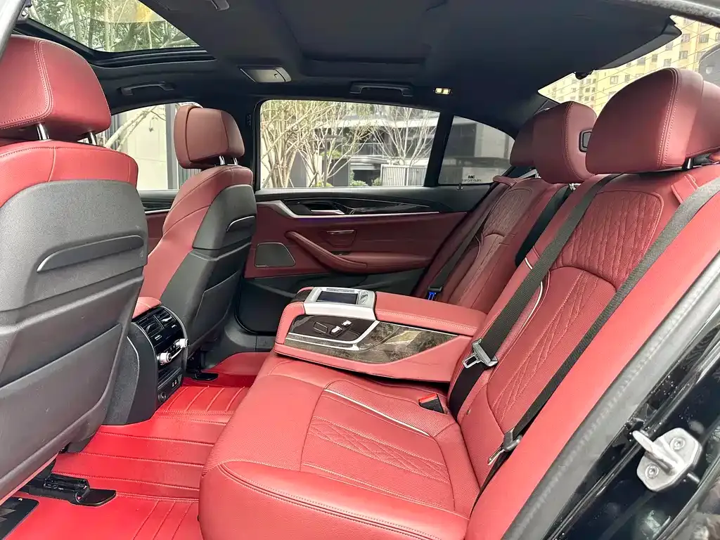BMW 5 Series 2021 из CN, фото 4