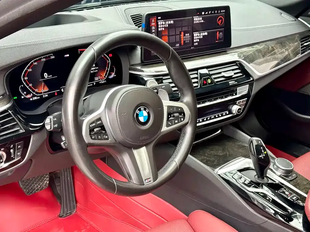 BMW 5 Series 2021 из CN, фото 3