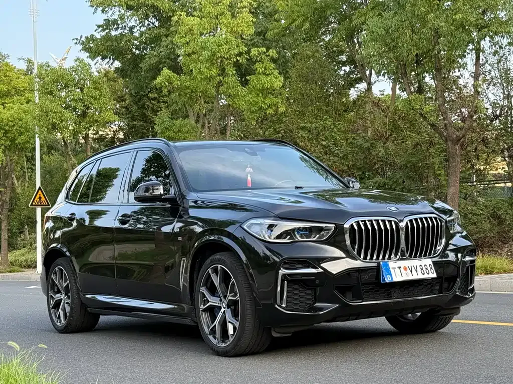 BMW X5 — фото 6