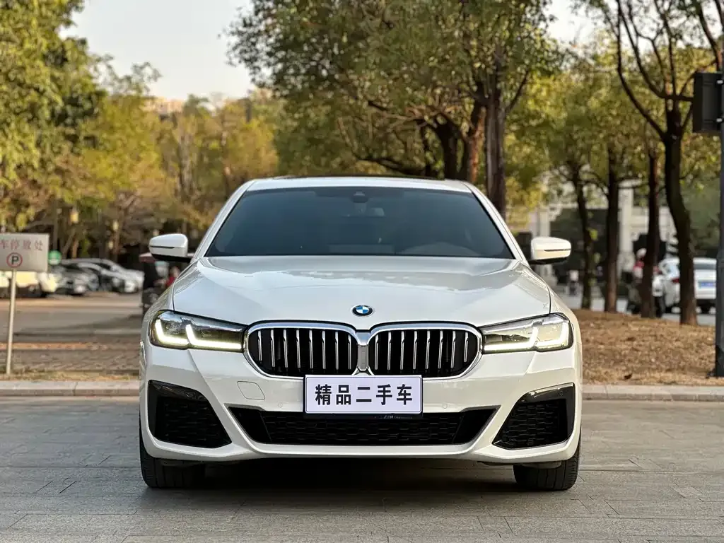 BMW 5 Series 2023 из CN, фото 5