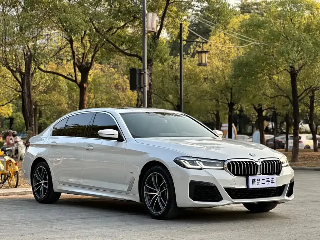 BMW 5 Series 2023 из CN, фото 3