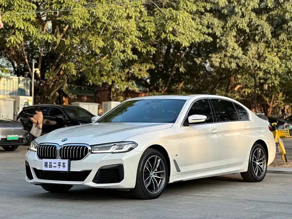 BMW 5 Series 2023 из CN, фото 4