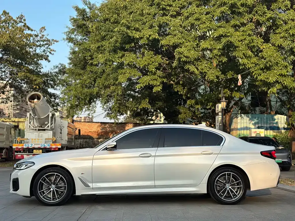 BMW 5 Series 2023 из CN, фото 9