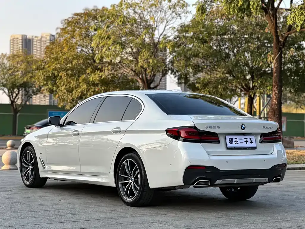 BMW 5 Series 2023 из CN, фото 10