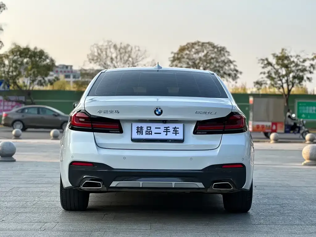 BMW 5 Series 2023 из CN, фото 2