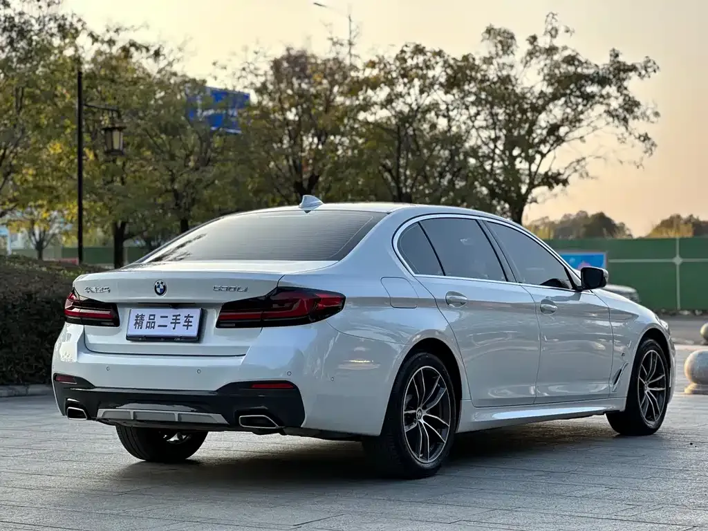 BMW 5 Series 2023 из CN, фото 6