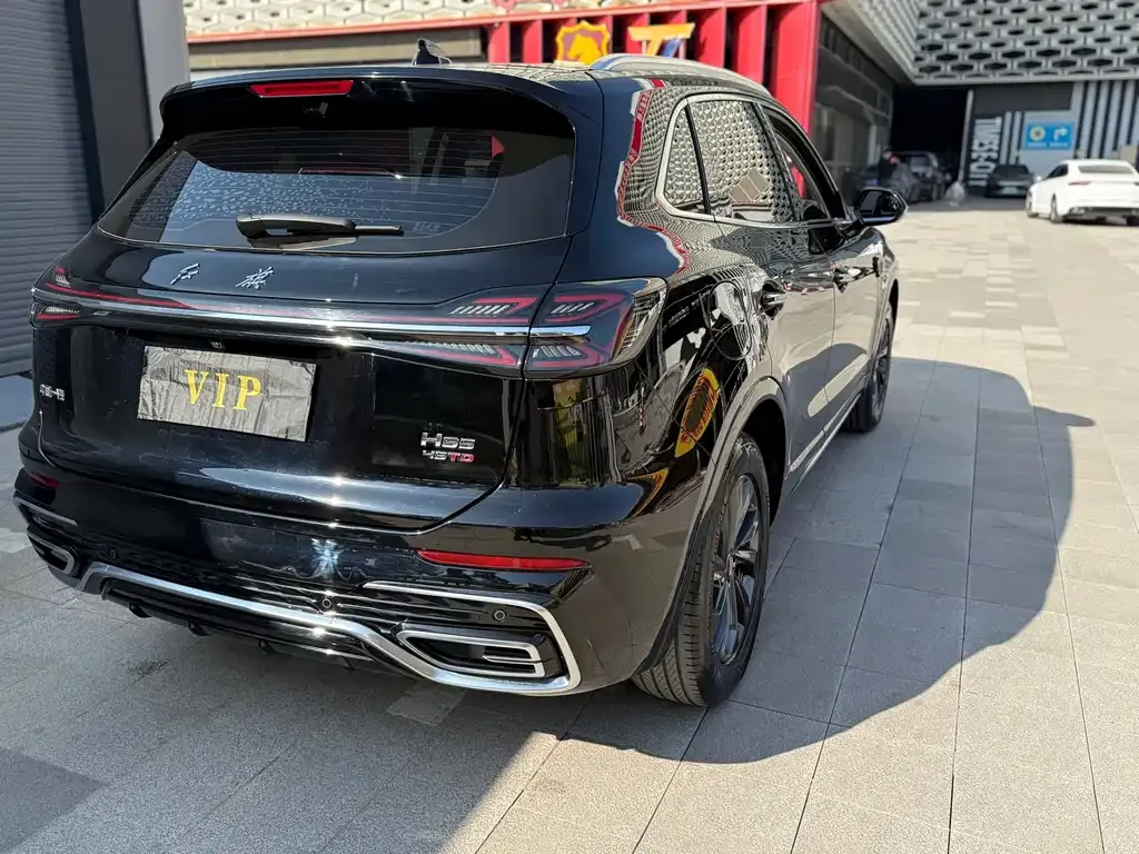Hongqi HS5 2023 из CN, фото 5