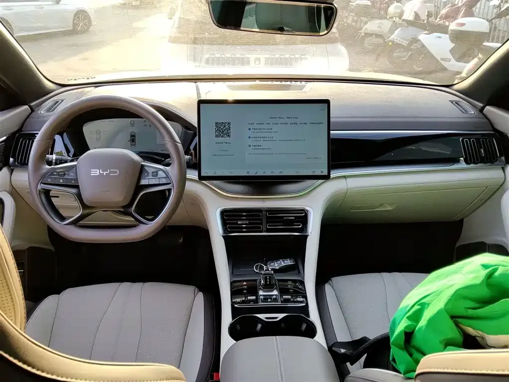 BYD PLUS New Energy 2025 из CN, фото 10