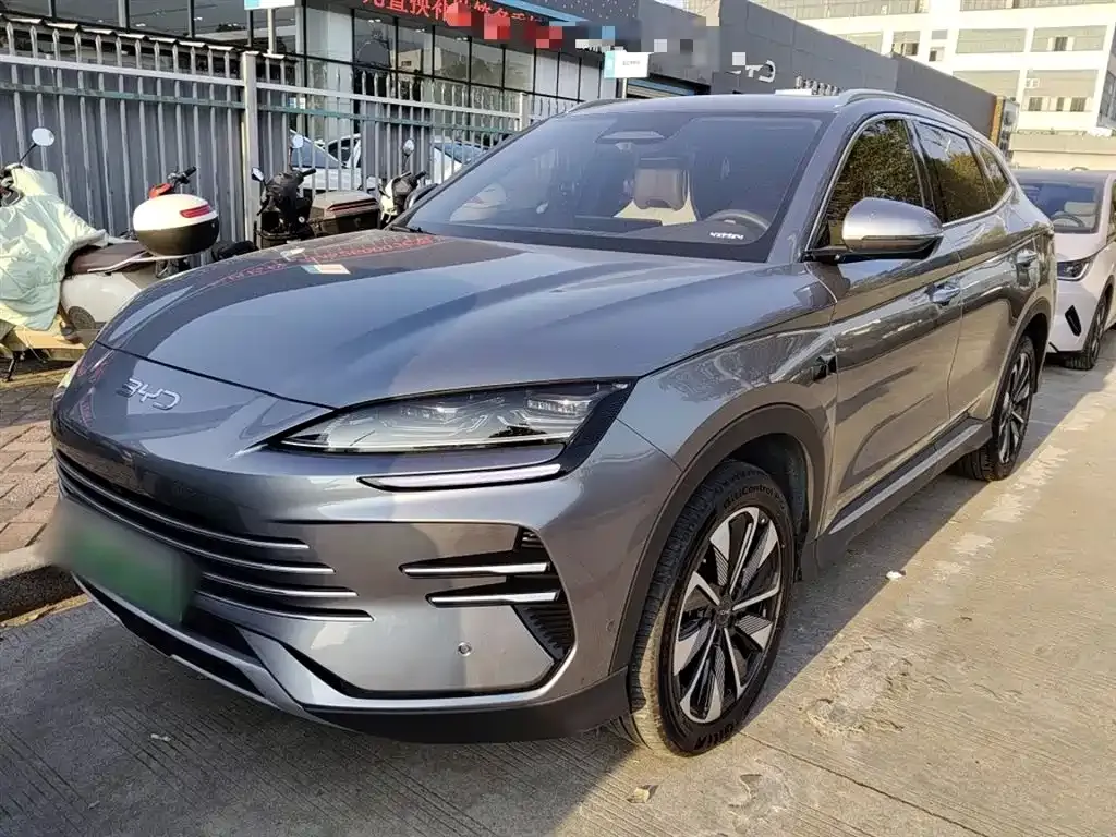 BYD PLUS New Energy 2025 из CN, фото 2