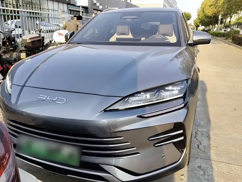 BYD PLUS New Energy 2025 из CN, фото 3