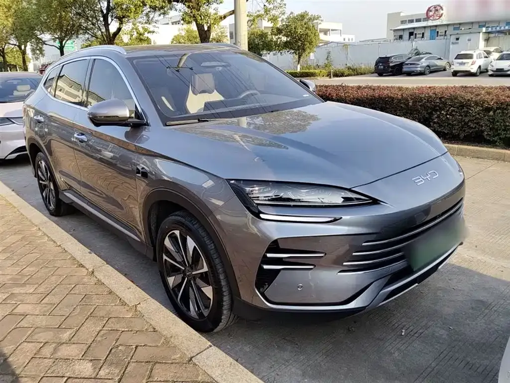 BYD PLUS New Energy 2025 из CN, фото 4