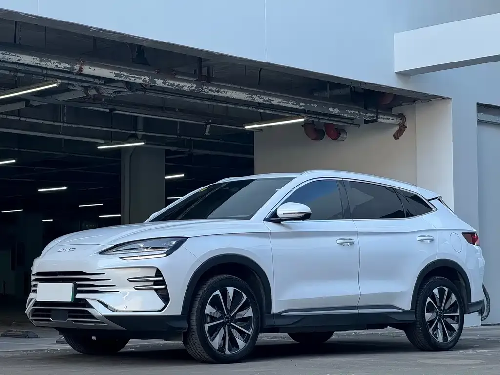 BYD PLUS New Energy 2025 из CN, фото 1