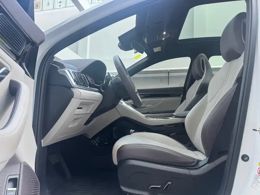 BYD PLUS New Energy 2025 из CN, фото 3