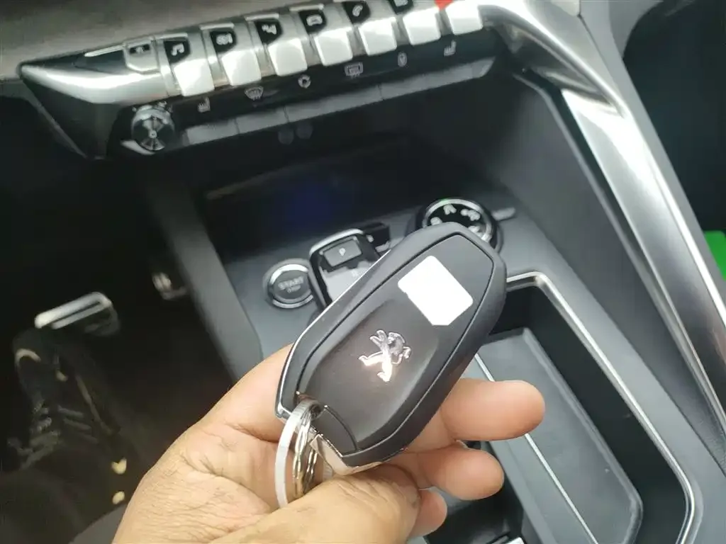 Peugeot 4008 2023 из CN, фото 9