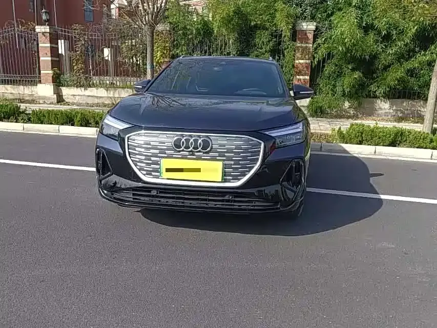 Audi Q4 e-tron 2023 из CN, фото 8