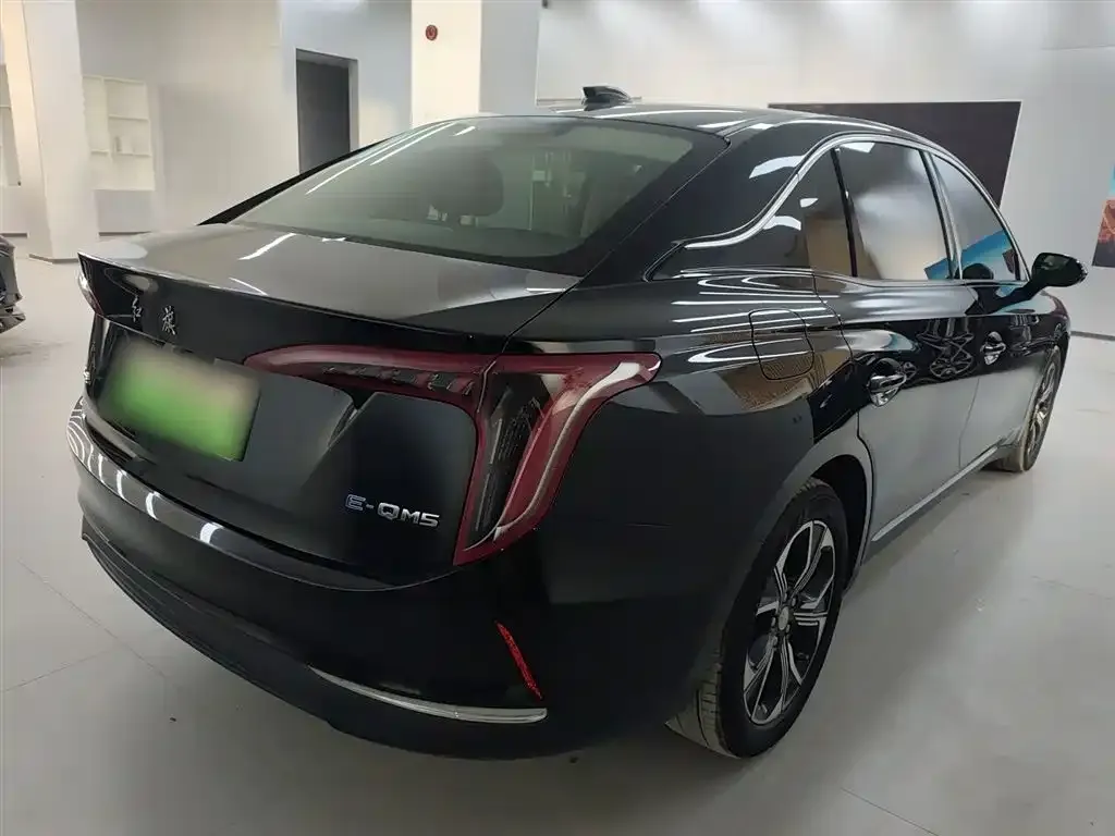 Hongqi E-QM5 2023 из CN, фото 5