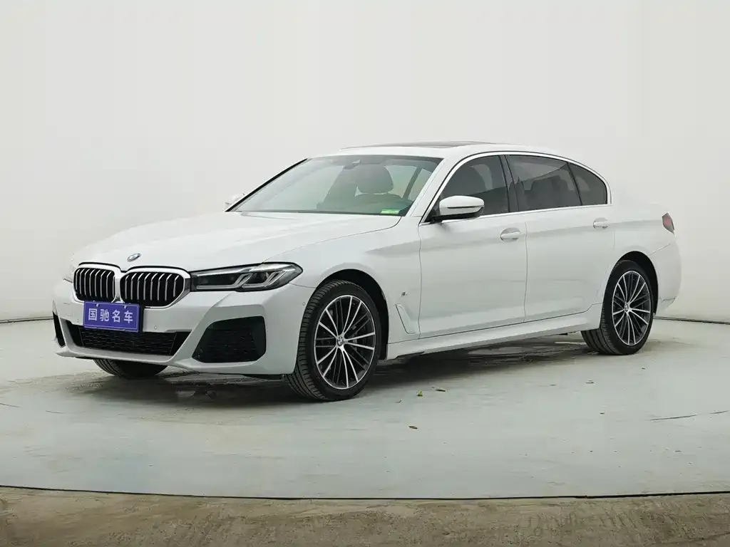 BMW 5 Series 2022 из CN, фото 1