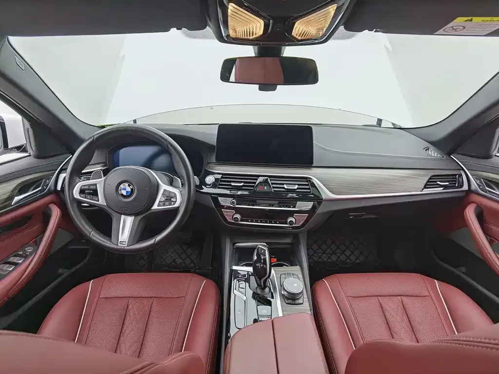 BMW 5 Series 2022 из CN, фото 5