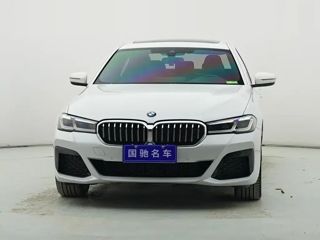 BMW 5 Series 2022 из CN, фото 3