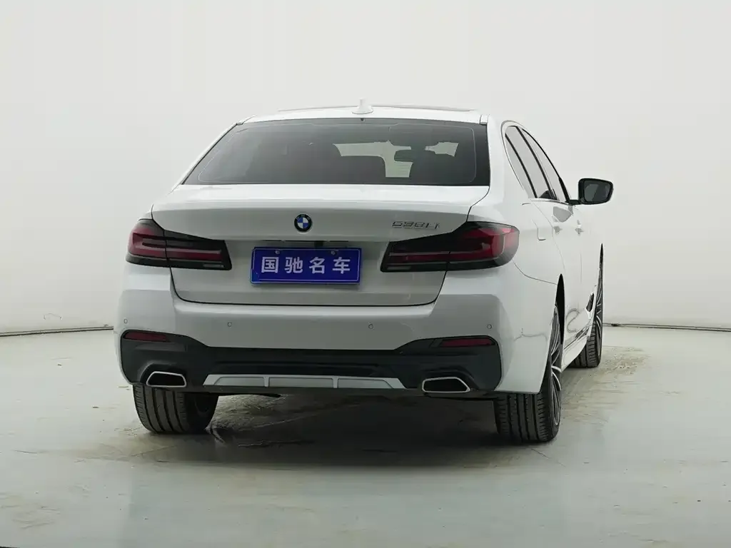 BMW 5 Series 2022 из CN, фото 4