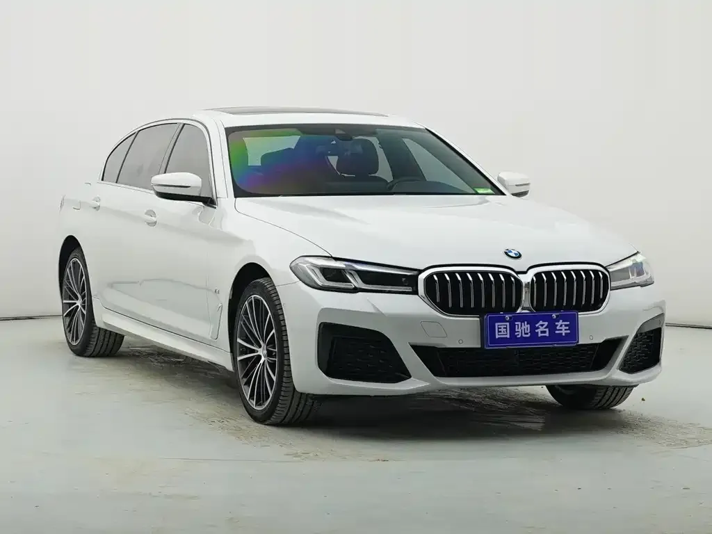 BMW 5 Series 2022 из CN, фото 8