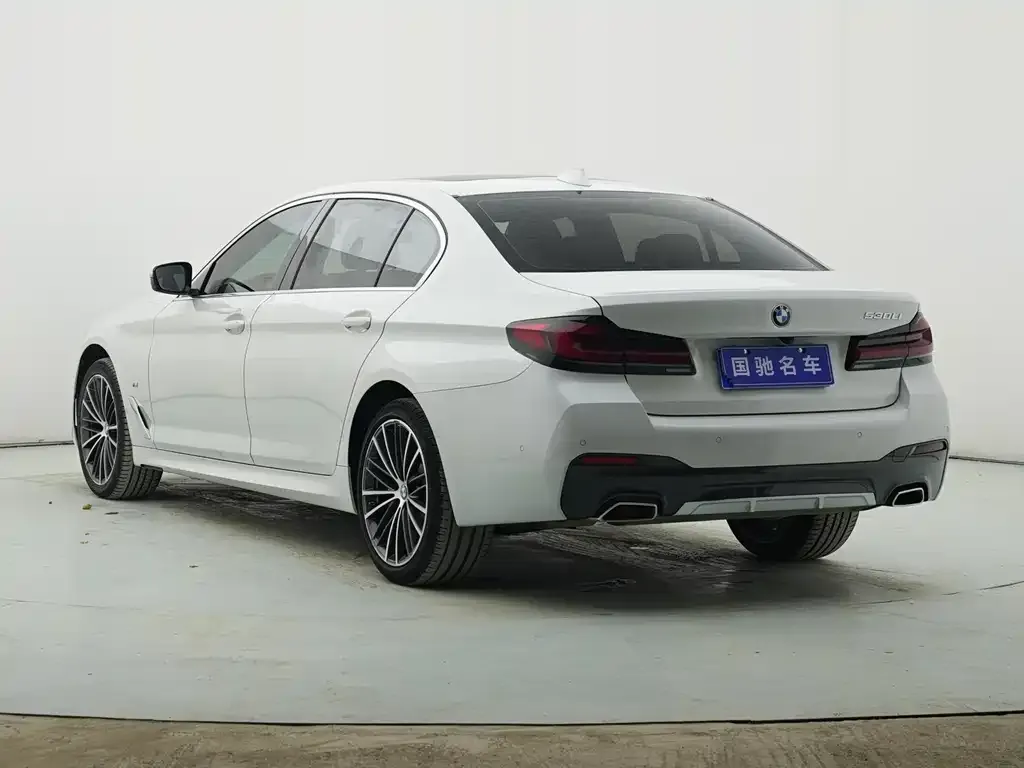 BMW 5 Series 2022 из CN, фото 10